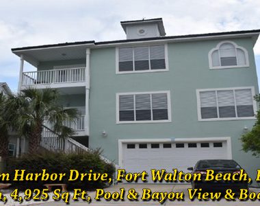 PalmHarborDrFeaturedImage